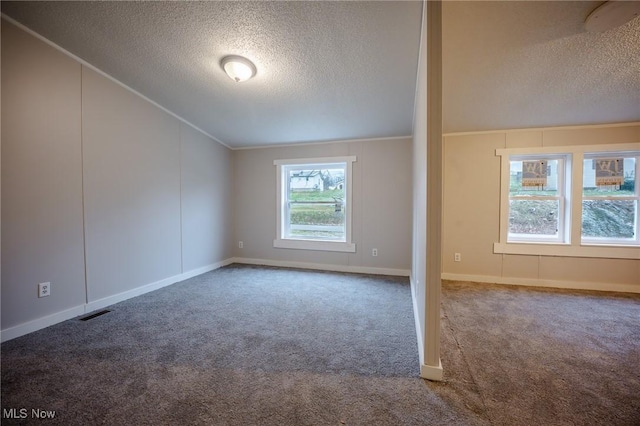 bonus room with carpet floors and a textured ceiling