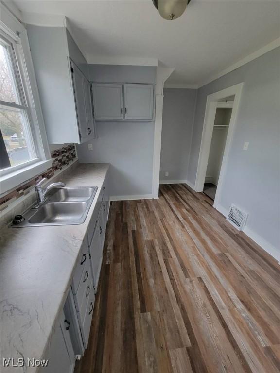 kitchen featuring sink, dark hardwood / wood-style flooring, crown molding, and a healthy amount of sunlight