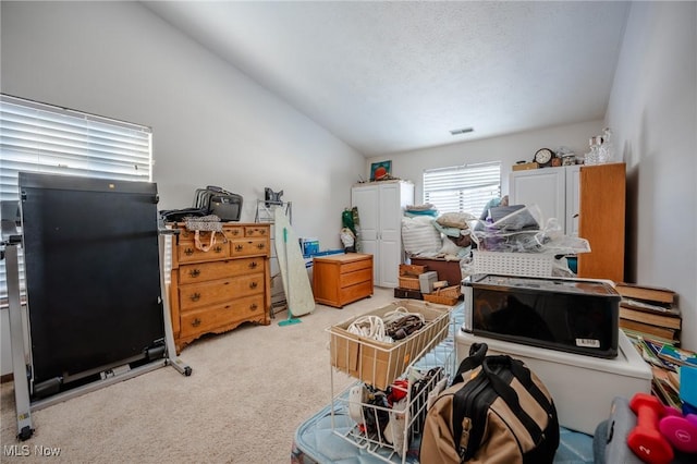 bedroom with lofted ceiling and light colored carpet