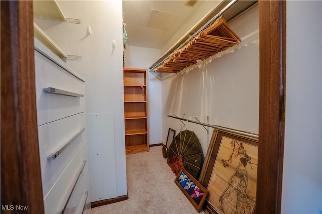 spacious closet with light colored carpet