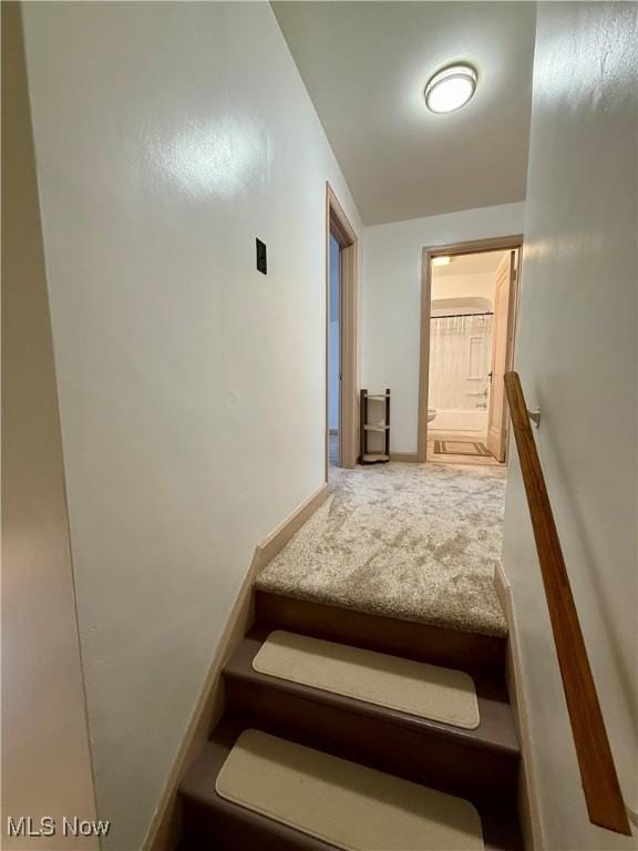 stairs with carpet flooring