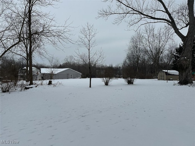 view of yard covered in snow