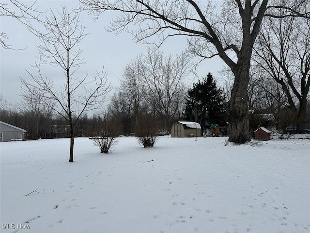 view of snowy yard