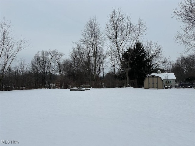 yard layered in snow with a storage shed