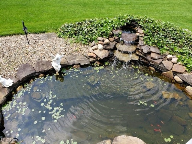 details with a small pond