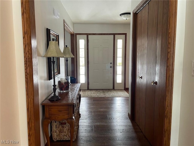 entrance foyer with dark hardwood / wood-style flooring