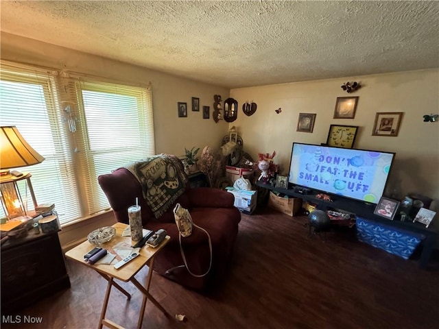 living room with wood-type flooring and a textured ceiling