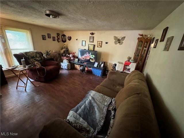 living room with a textured ceiling and hardwood / wood-style floors