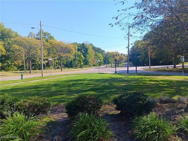 view of home's community featuring a lawn