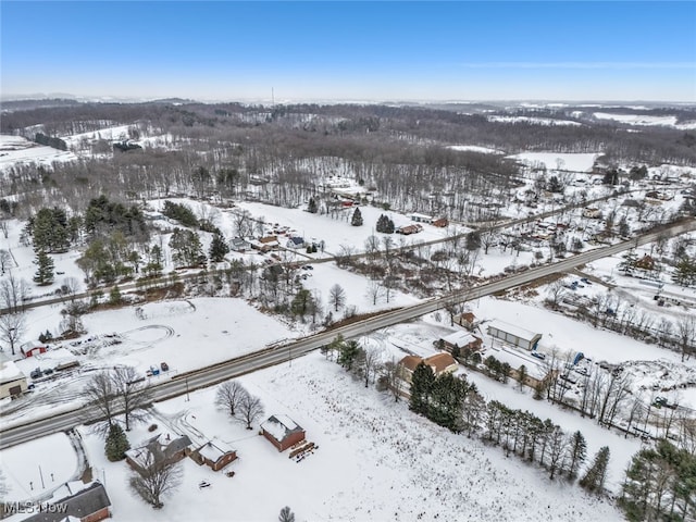 view of snowy aerial view