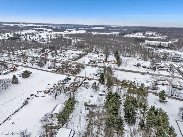 view of snowy aerial view