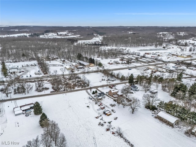 view of snowy aerial view