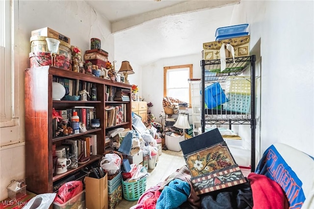 miscellaneous room with lofted ceiling