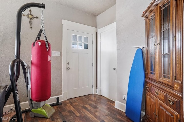 entryway featuring dark wood-type flooring