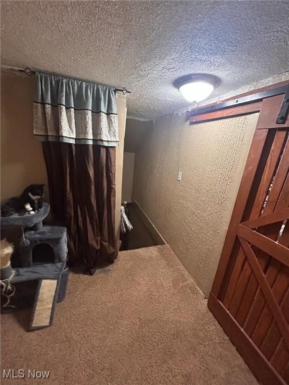 basement featuring a textured ceiling and carpet