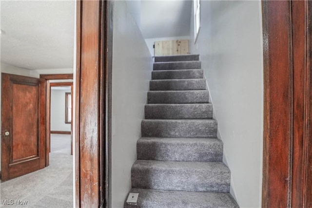 staircase featuring carpet