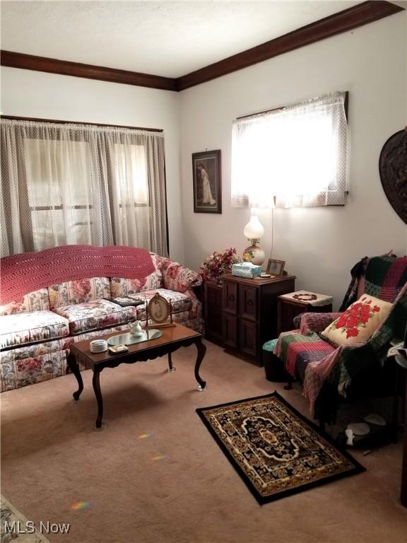 carpeted living room featuring crown molding