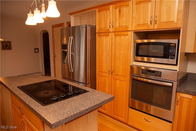 kitchen featuring pendant lighting, appliances with stainless steel finishes, and light hardwood / wood-style flooring