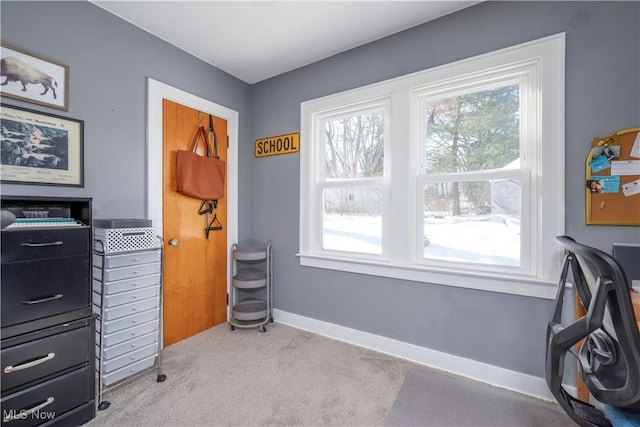 miscellaneous room featuring light carpet