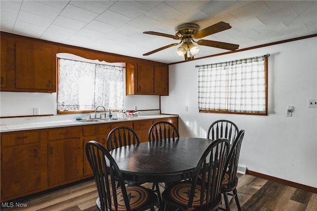 kitchen with ceiling fan, dark hardwood / wood-style flooring, sink, and crown molding