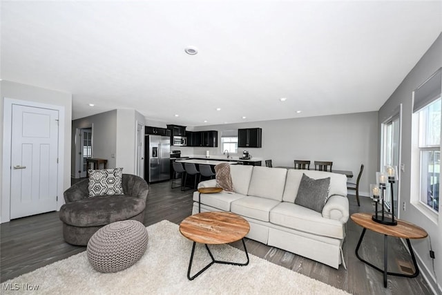 living room with sink and dark hardwood / wood-style floors