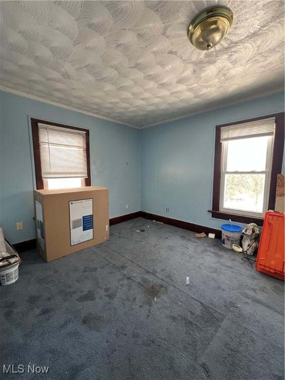 empty room featuring carpet and ornamental molding