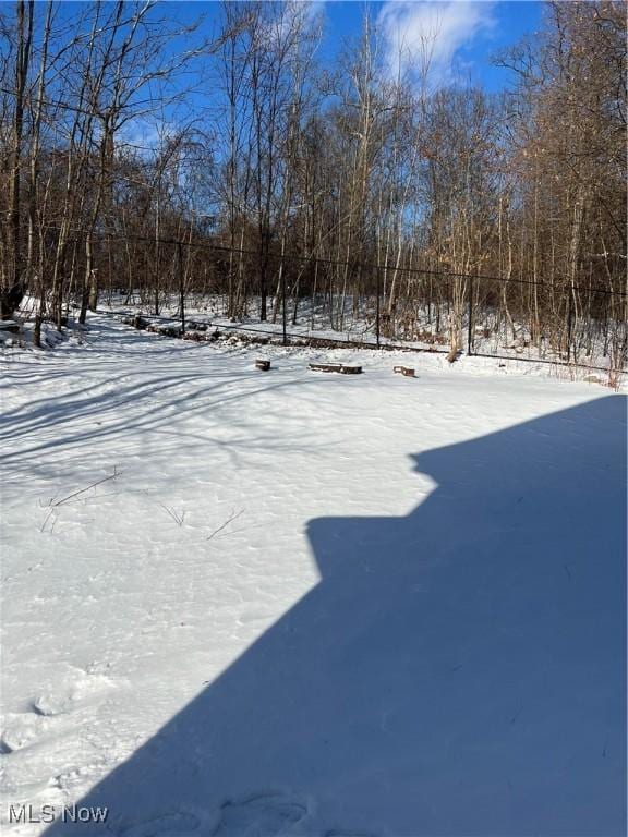 view of yard covered in snow