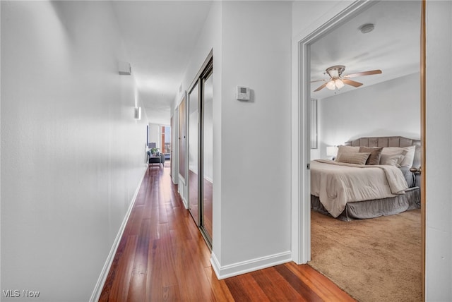 corridor with wood-type flooring