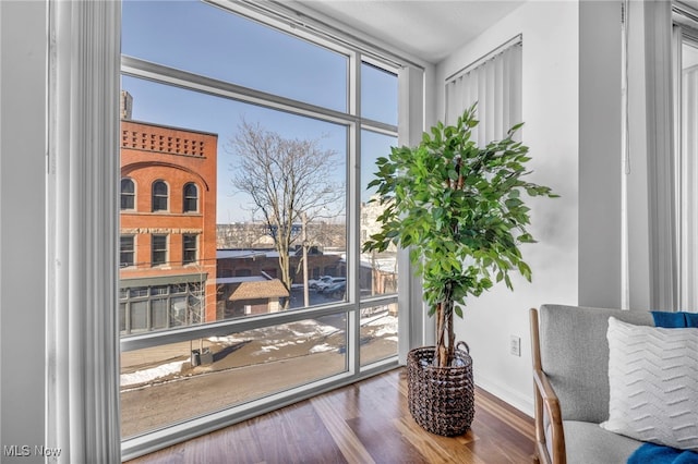 sitting room featuring plenty of natural light and hardwood / wood-style floors