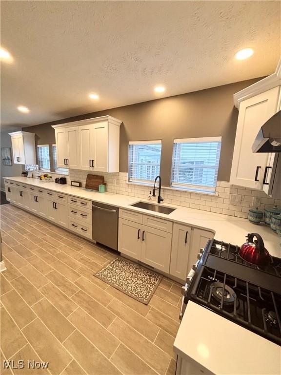 kitchen with white cabinetry, stainless steel dishwasher, gas range, and sink