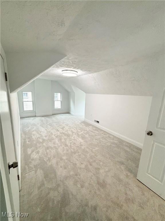 additional living space featuring lofted ceiling, light carpet, and a textured ceiling