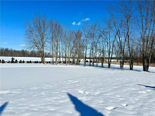 view of yard layered in snow