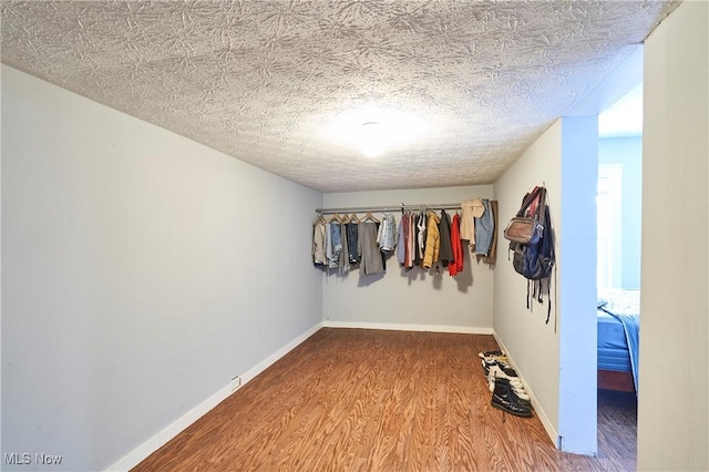 spacious closet featuring wood-type flooring