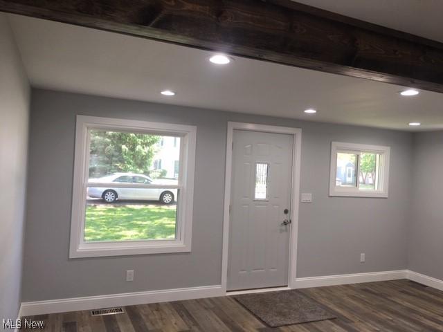 entryway featuring dark wood-type flooring and a healthy amount of sunlight