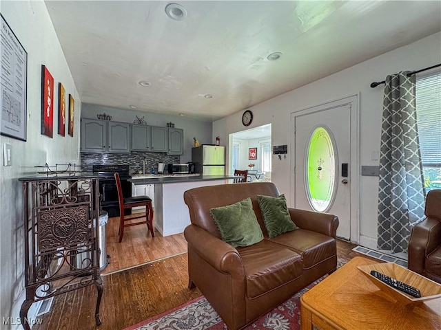 living room with wood-type flooring