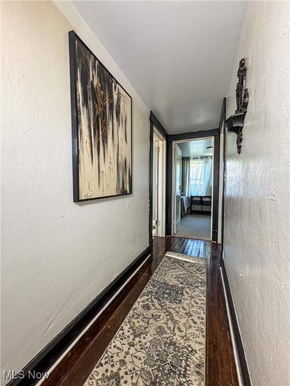 corridor featuring dark hardwood / wood-style flooring