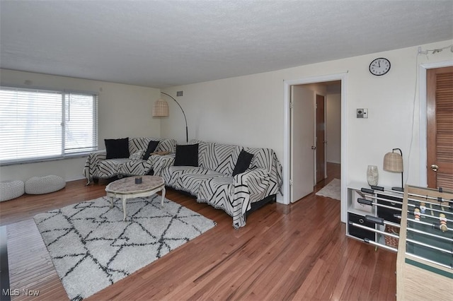 living room featuring dark hardwood / wood-style flooring