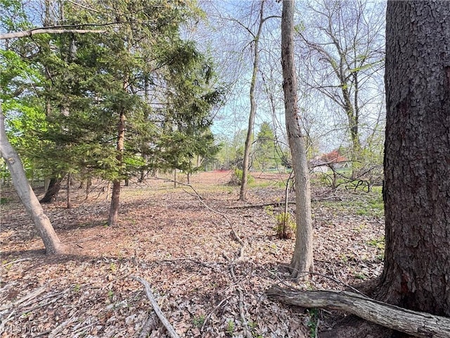 13430 Schreiber Rd, Valley View, OH 44125 - view of landscape