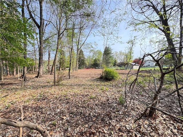 13430 Schreiber Rd, Valley View, OH 44125 - view of yard