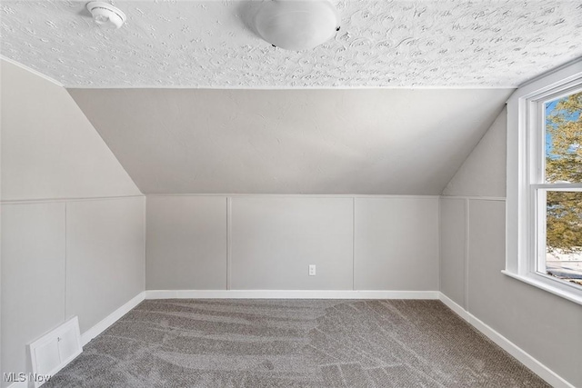 additional living space with lofted ceiling, a textured ceiling, and carpet flooring