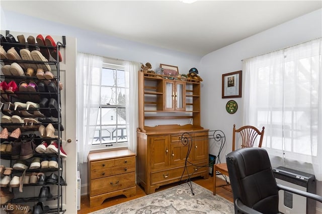 office space with hardwood / wood-style flooring