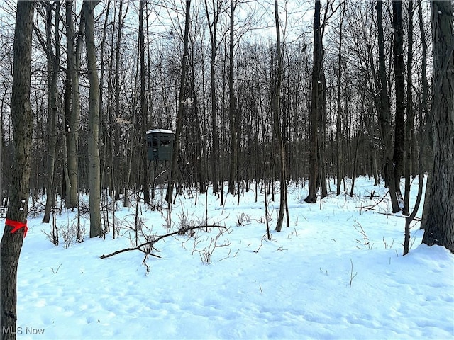 view of yard covered in snow