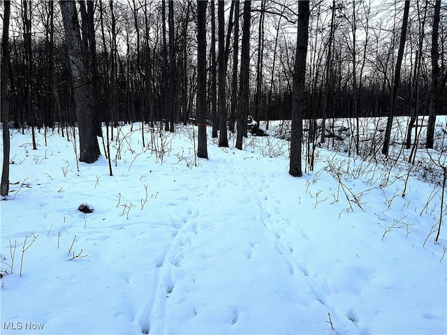 view of yard layered in snow