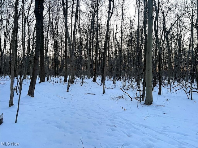 view of snowy landscape