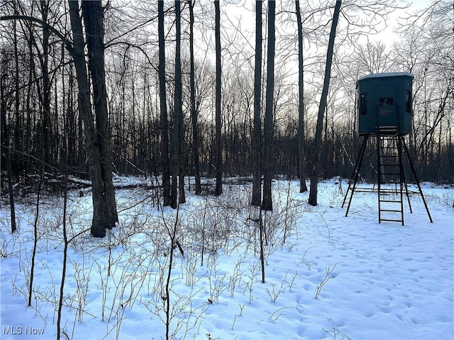 yard covered in snow with a playground