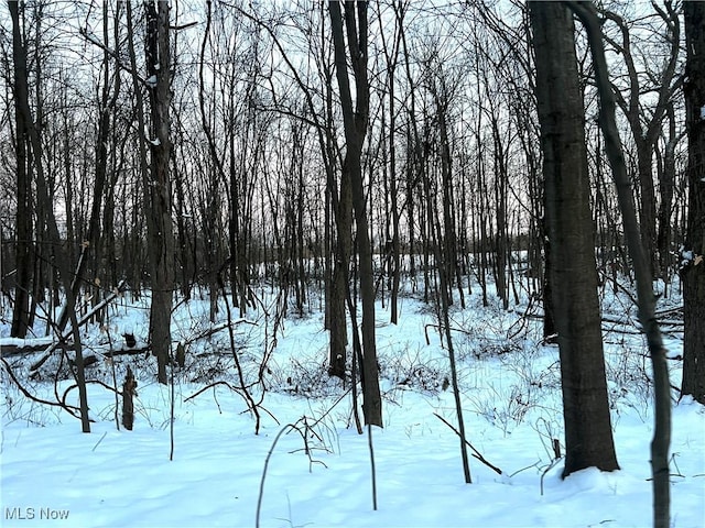 view of snow covered land