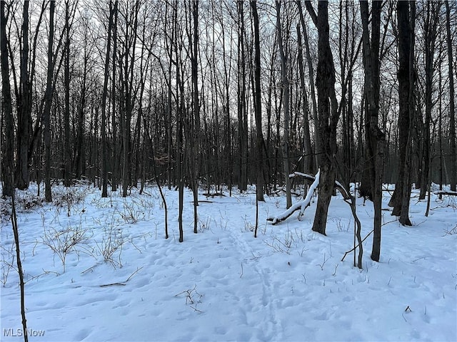 view of snowy view