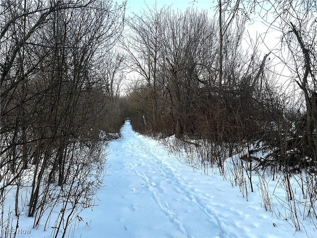 view of snowy view