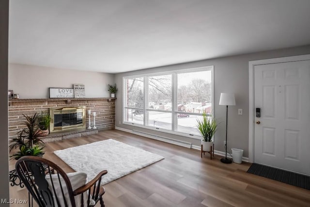 living room with a fireplace, wood-type flooring, and a baseboard radiator