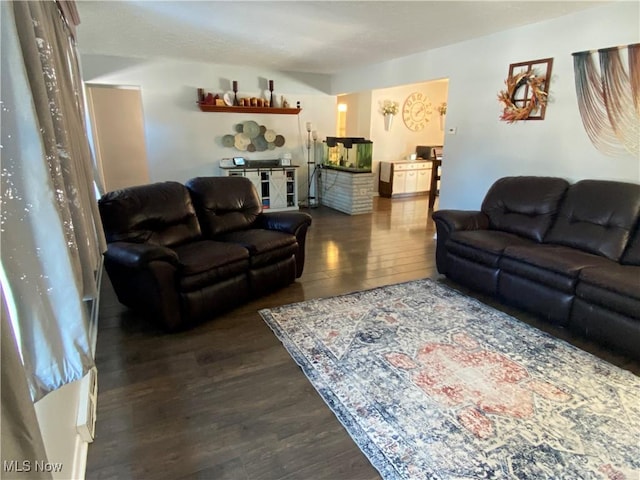 living room featuring dark hardwood / wood-style floors